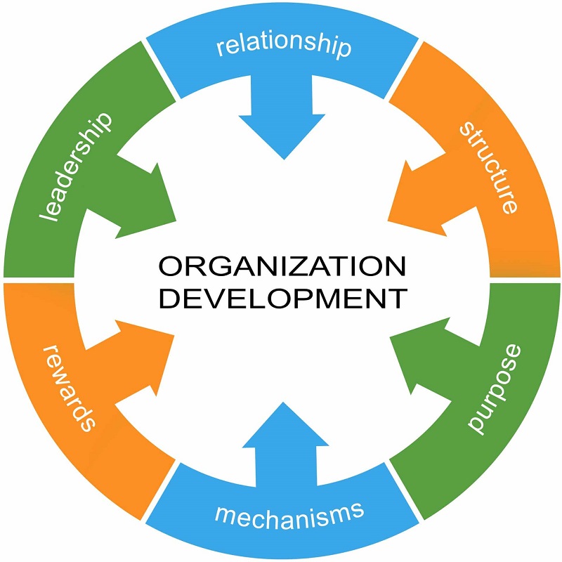 Key-components-of-Organization-Development